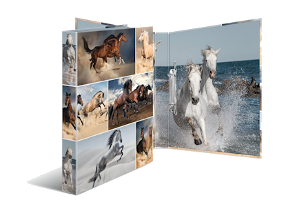 Binder with horses on it by HERMA