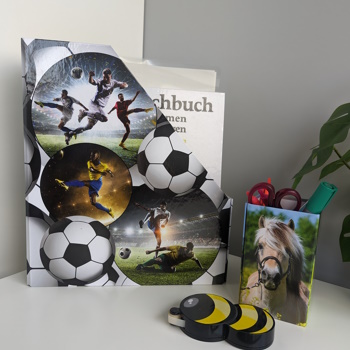 Application image pencil holder horses and standing folder football