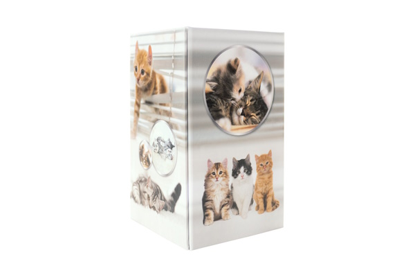 Illustration of a pencil holder with a cat design.