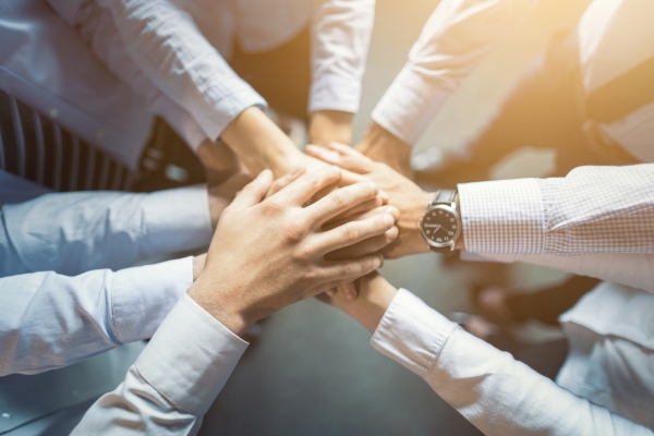 Hands placed together as a gesture of unity.