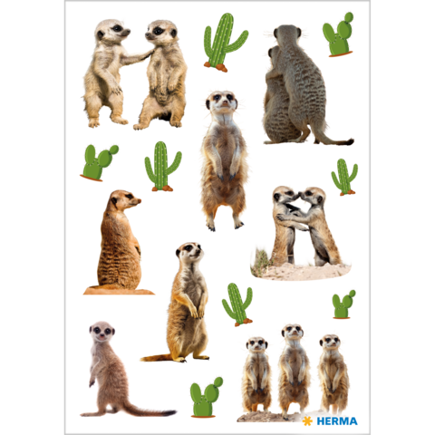 Eine Collage von Erdmännchen in verschiedenen Posen, umgeben von Kakteen. Die Erdmännchen zeigen Interaktionen und unterschiedliche Haltungen.