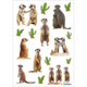 Eine Collage von Erdmännchen in verschiedenen Posen, umgeben von Kakteen. Die Erdmännchen zeigen Interaktionen und unterschiedliche Haltungen.