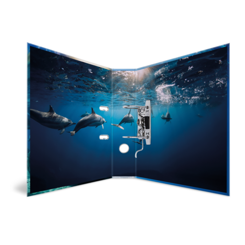 A folder with an underwater image of several dolphins swimming through clear water, surrounded by beams of light.