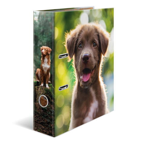 A folder with a picture of a cheerful-looking brown dog on the front, surrounded by a blurred green landscape in the background.