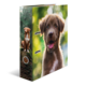 A folder with a picture of a cheerful-looking brown dog on the front, surrounded by a blurred green landscape in the background.