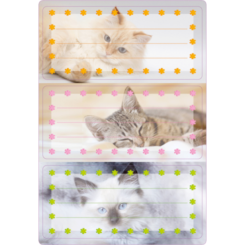 Drei Katzen in verschiedenen Posen, umgeben von bunten Pfotenabdrücken. Oben eine flauschige Katze, in der Mitte eine gestreifte, unten eine mit blauen Augen.