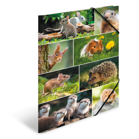 Eine Collage von kleinen Tieren, darunter Kaninchen, Igel, Mäuse und Otter, die in einer natürlichen Umgebung abgebildet sind.