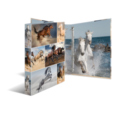 HERMA ring binder