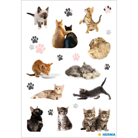 A collage of various cats, including kittens, playful cats, and sleeping cats, surrounded by paw prints.