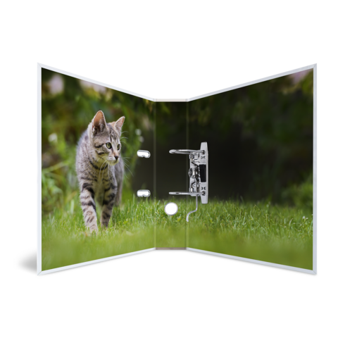 A gray cat walks across green grass while standing in an open door.