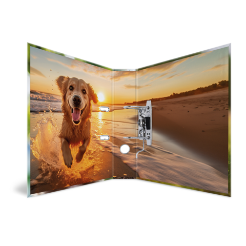 A cheerful dog jumps into the water, surrounded by a picturesque coastal landscape at sunset.