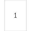 Blank template for Word A3 Portrait format