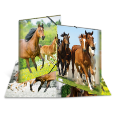 HERMA Elasticated folder