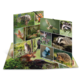 Eine aufgeschlagene Broschüre mit verschiedenen Bildern von Wildtieren, darunter ein Fuchs, ein Eichhörnchen, ein Igel und ein Uhu.