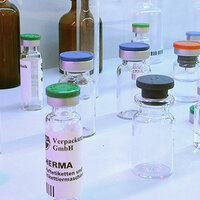 A collection of glass vials with various cap colours, some labelled, used for packaging and laboratory purposes.