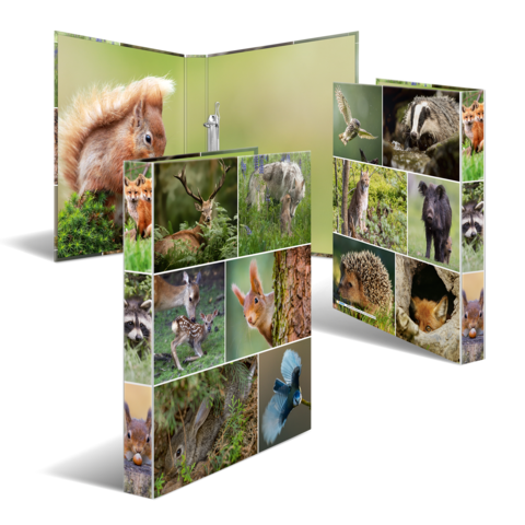 Eine aufklappbare Präsentation zeigt verschiedene Wildtiere, darunter ein Eichhörnchen, Rehe, Füchse und Vögel, in einer natürlichen Umgebung.