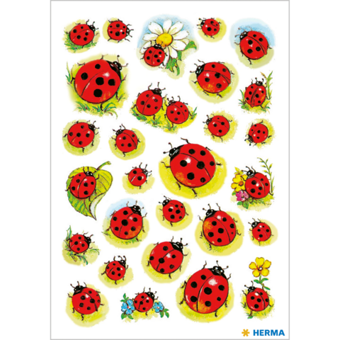 Eine Sammlung von Marienkäfern in verschiedenen Größen, einige auf Blättern und Blumen, vor einem weißen Hintergrund.