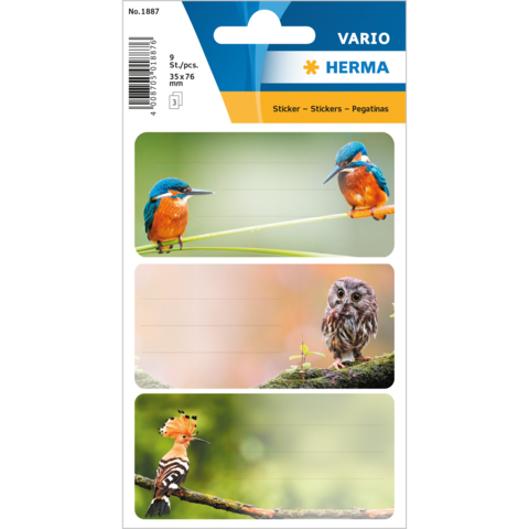 Drei Aufkleber mit Vögeln: ein Eisvogel, eine Eule und ein Wiedehopf, jeweils auf einem farbigen Hintergrund.