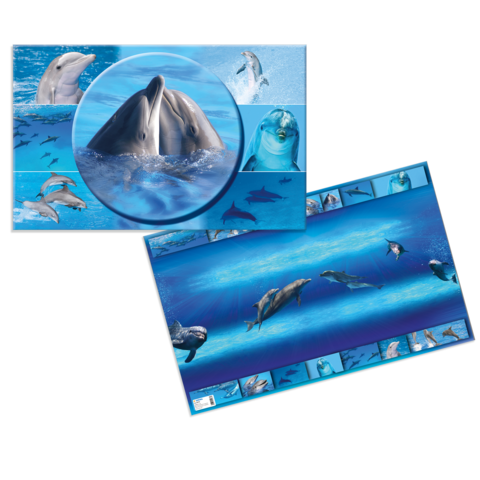 Delfine in verschiedenen Posen und Umgebungen, die im Wasser schwimmen und spielen. Mehrere Bilder zeigen ihre Bewegungen und Interaktionen.