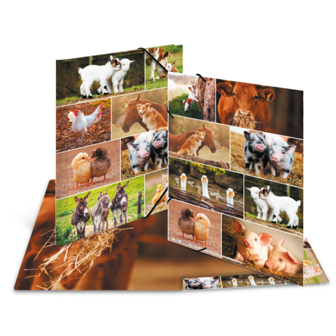 Ein aufgeschlagenes Fotobuch mit Bildern von verschiedenen Tieren, darunter Hunde, Hühner, Pferde, Schweine und Kühe.