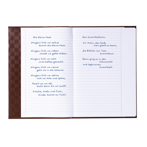 Ein offenes Notizbuch mit handschriftlichen Texten, darunter Gedichte oder Geschichten, in deutscher Sprache.