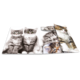 Ein aufgeschlagenes Fotobuch mit verschiedenen Bildern von Katzen, darunter zwei grau gestreifte Kätzchen und andere Katzenporträts.