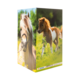 Eine Verpackung mit Bildern von zwei Ponys, eines mit einer Mähne und Zaumzeug, das andere braun-weiß gefleckt.