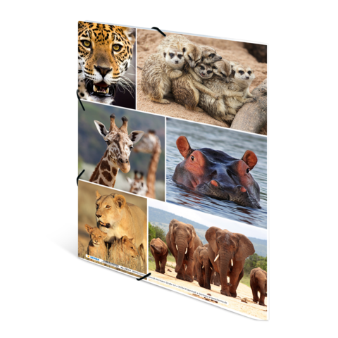 Collage mit verschiedenen Tieren: Jaguar, Erdmännchen, Giraffe, Nilpferd, Löwen und Elefanten in unterschiedlichen Posen.