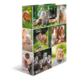 Eine Sammlung von Bildern kleiner Tiere, darunter Meerschweinchen, Kaninchen, und ein Eichhörnchen, die in verschiedenen Posen und Umgebungen dargestellt sind.