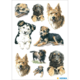 Eine Sammlung von Hunden in verschiedenen Posen und Rassen, darunter Welpen und erwachsene Hunde, in einem künstlerischen Stil.