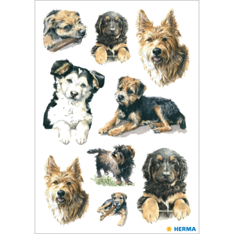 Eine Sammlung von Hunden in verschiedenen Posen und Rassen, darunter Welpen und erwachsene Hunde, in einem künstlerischen Stil.