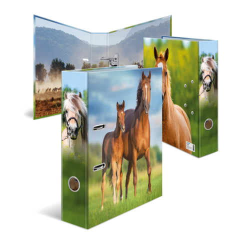 A folder with pictures of two horses in a meadow, surrounded by a rural landscape and mountains in the background.