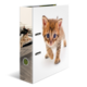 A folder with a picture of a small, striped kitten curiously looking at the camera, with another kitten in the background.