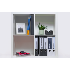 Regal mit Ordnern, Stiften, einer Pflanze und einem Bilderrahmen. Enthält schwarze und graue Ordner mit Beschriftungen.