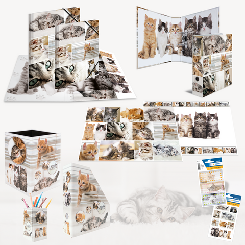 Colorful office supplies featuring cat designs, including a binder, a pencil holder, and a notepad, all showcasing various cat images.