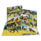Ein aufgeschlagenes Fotobuch mit verschiedenen Bildern von Pferden in unterschiedlichen Posen und Landschaften.