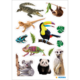Tieraufkleber mit einem Krokodil, Faultier, Eidechse, Tukan, Chamäleon, Koala, Panda und Erdmännchen, umgeben von Pflanzenmotiven.