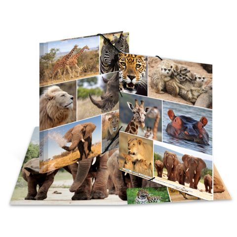 Ein aufgeschlagenes Buch mit Bildern von verschiedenen Tieren, darunter Giraffen, Elefanten, Löwen und Zebras.