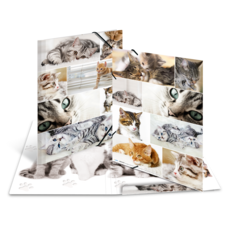 HERMA Elasticated folder