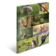 Eine Collage mit verschiedenen Wildtieren, darunter ein Reh, Eichhörnchen, Eule und ein Wolf, umgeben von natürlicher Vegetation.
