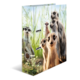 Eine Gruppe von Erdmännchen steht in einer grünen Umgebung mit Gras und Blumen. Einige Erdmännchen schauen direkt in die Kamera.