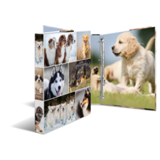 HERMA ring binder