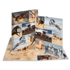 HERMA Elasticated folder