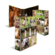 Ein aufklappbares Display mit Bildern von verschiedenen Tieren, darunter Kühe, Schweine, Ziegen und Enten, in ländlicher Umgebung.