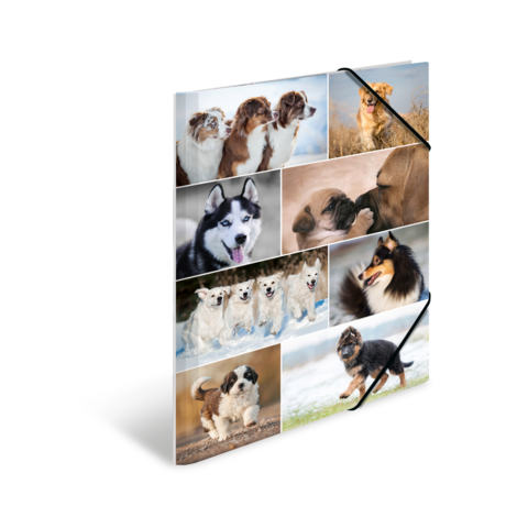 Eine Collage mit verschiedenen Hunderassen, darunter Huskys, Schäferhunde und Welpen, die in unterschiedlichen Posen und Umgebungen abgebildet sind.