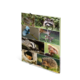 Eine Collage von Wildtieren, darunter ein Waschbär, ein Eichhörnchen, ein Dachs und ein blauer Vogel, umgeben von Gras und Pflanzen.
