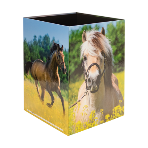 Eine quadratische Box mit Bildern von zwei Pferden, eines läuft auf einer Wiese und das andere steht mit einer Mähne im Vordergrund.