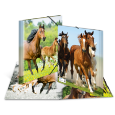 HERMA Elasticated folder