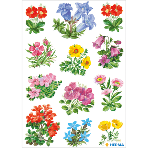 Bunte Blumenmuster in verschiedenen Farben und Arten, angeordnet in einem Raster. Enthält Primeln, Vergissmeinnicht und andere Frühlingsblumen.