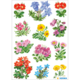 Bunte Blumenmuster in verschiedenen Farben und Arten, angeordnet in einem Raster. Enthält Primeln, Vergissmeinnicht und andere Frühlingsblumen.